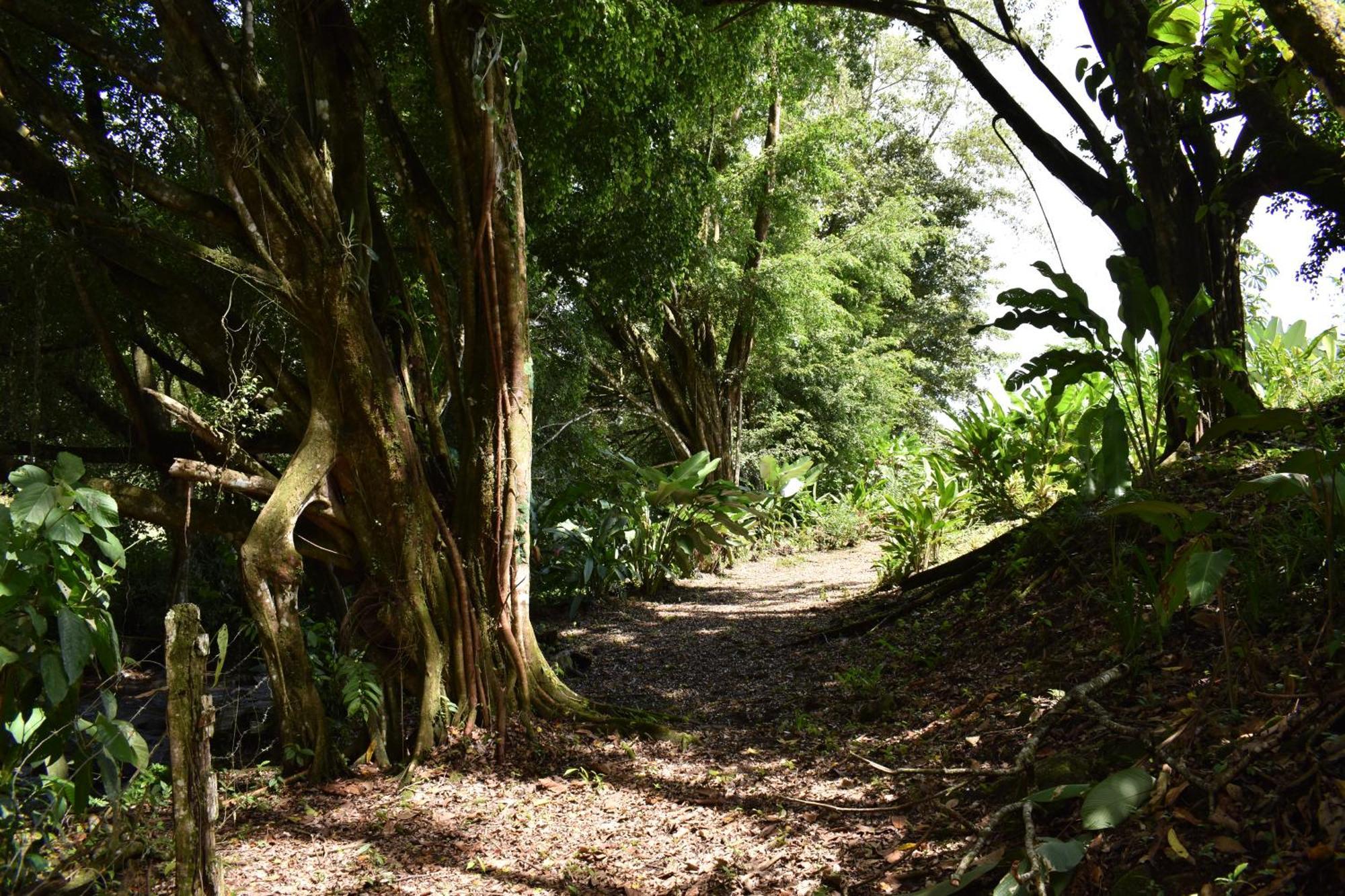 Hotel Arenal Country Inn La Fortuna Kültér fotó