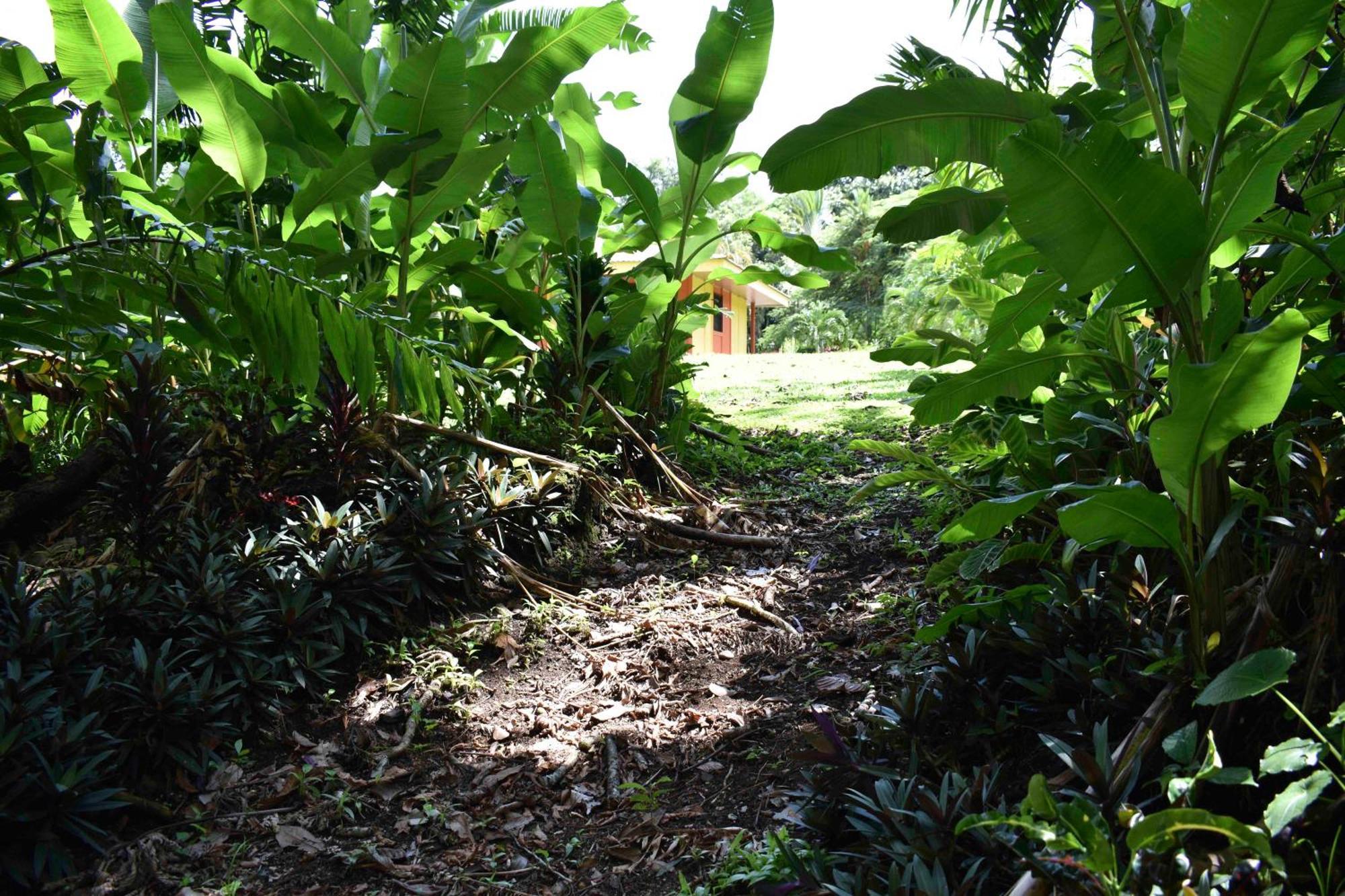 Hotel Arenal Country Inn La Fortuna Kültér fotó