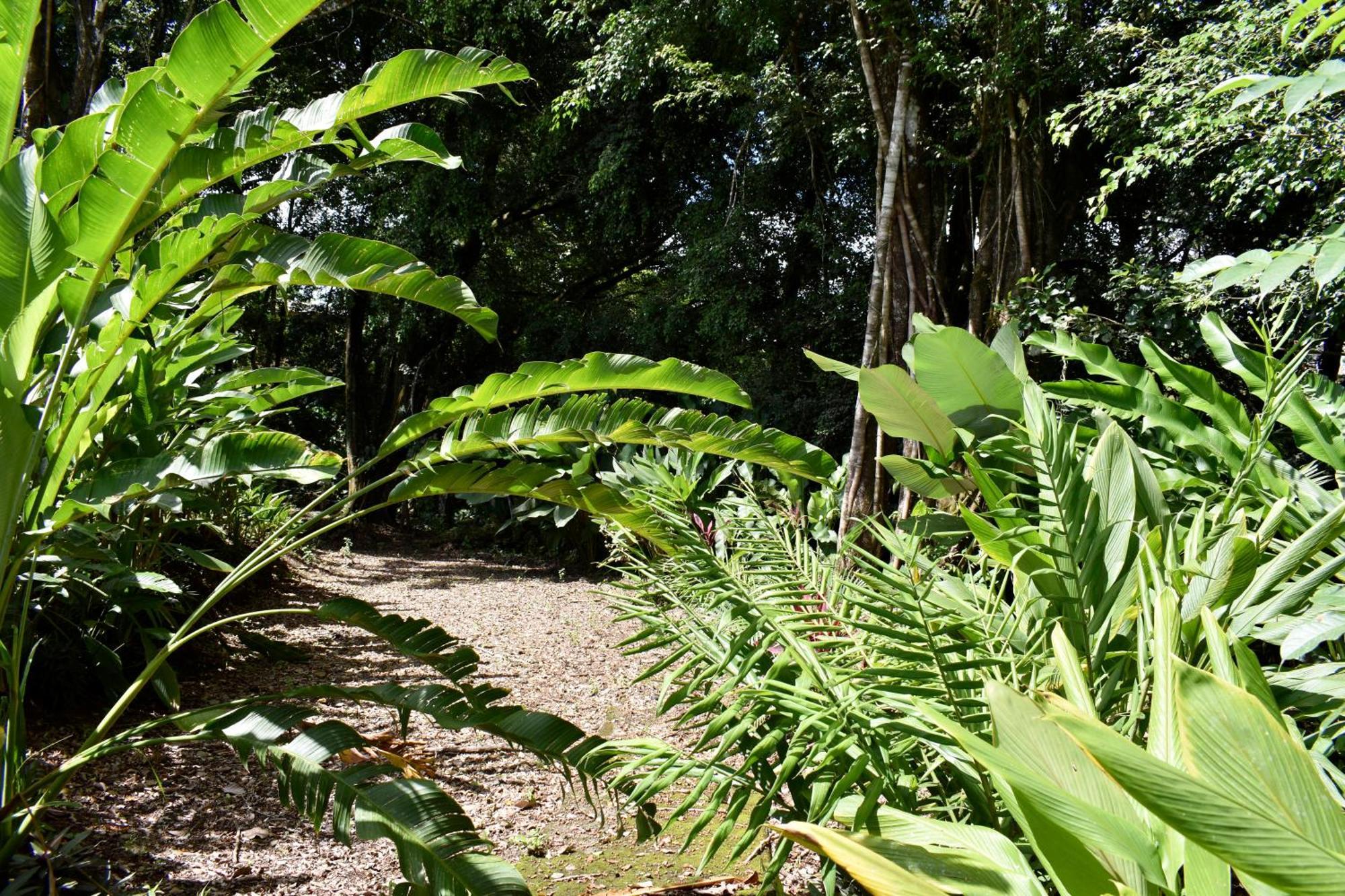 Hotel Arenal Country Inn La Fortuna Kültér fotó