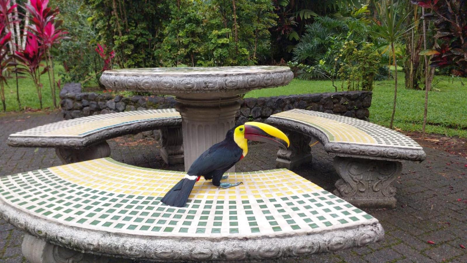 Hotel Arenal Country Inn La Fortuna Kültér fotó