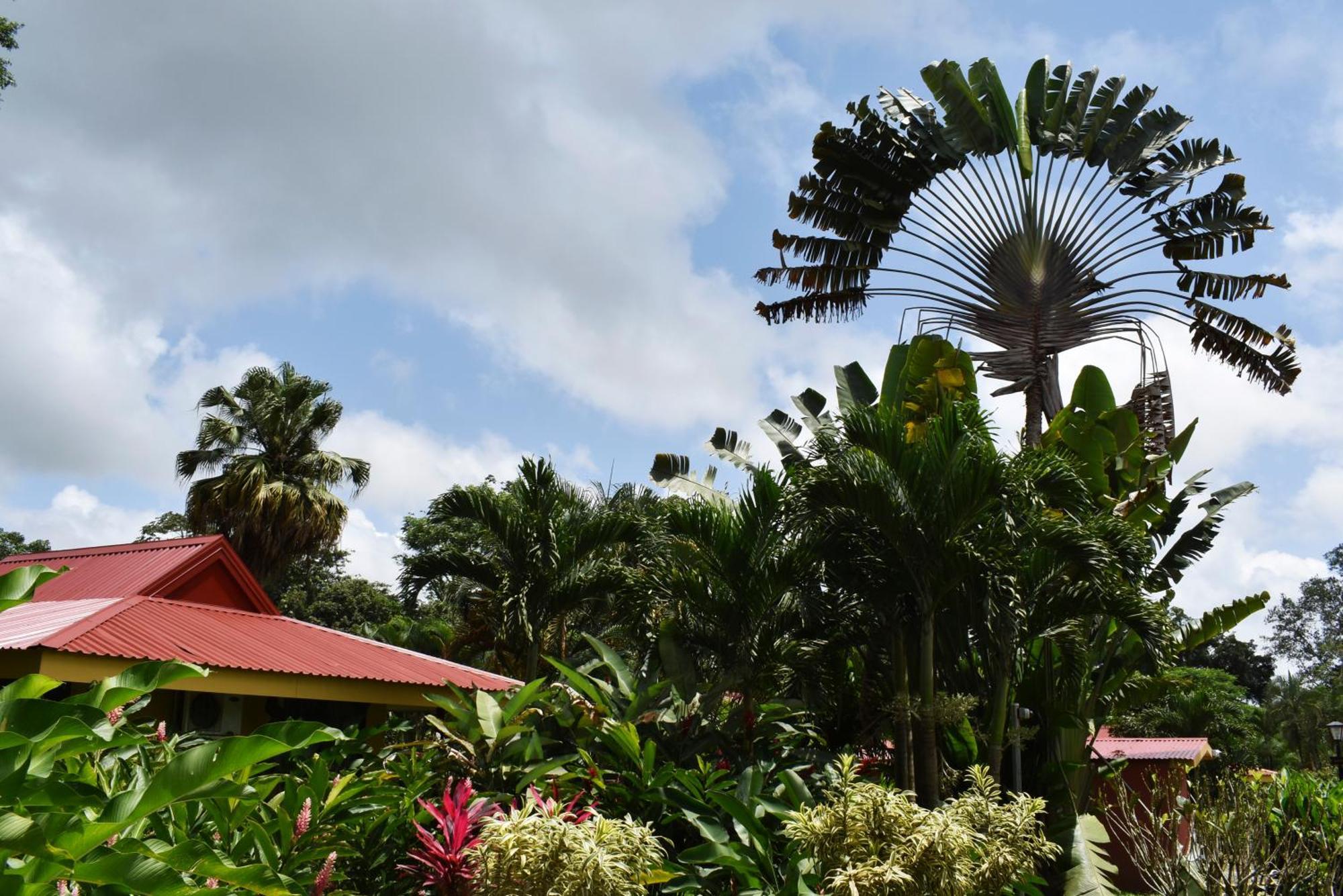 Hotel Arenal Country Inn La Fortuna Kültér fotó