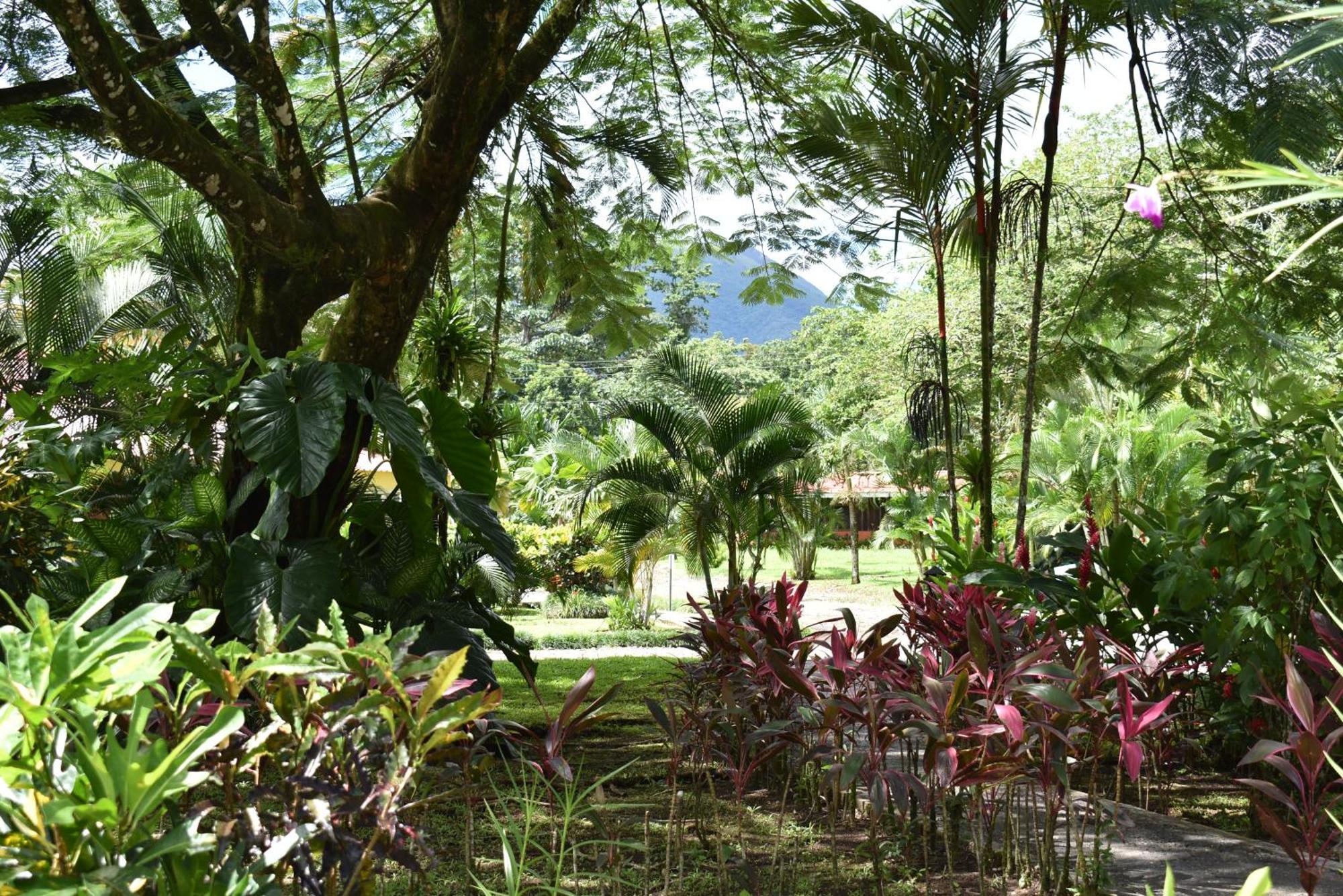 Hotel Arenal Country Inn La Fortuna Kültér fotó